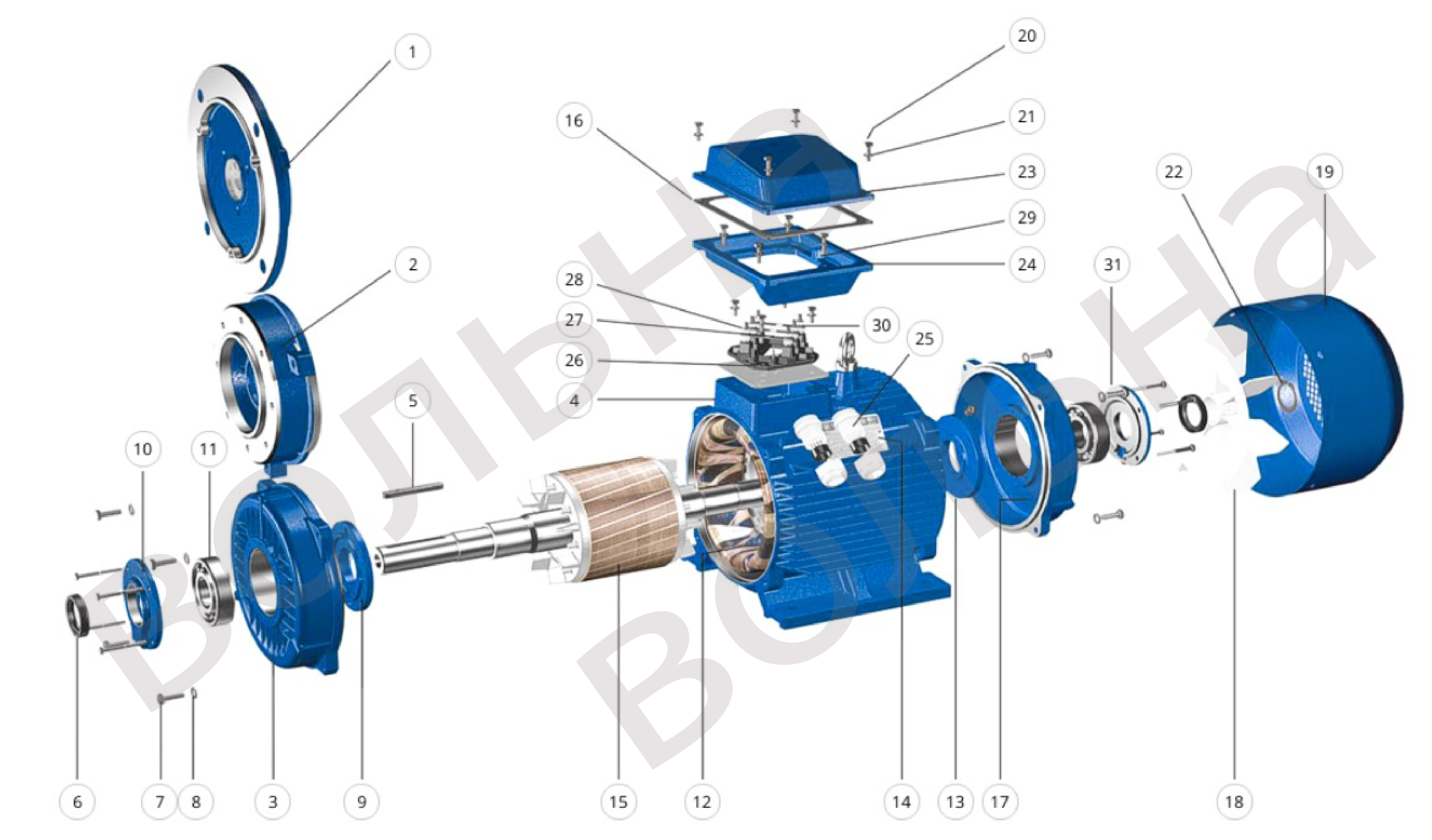Схема: конструкция электродвигателя АИР (двигатель в разборе)